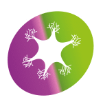 EFO logo